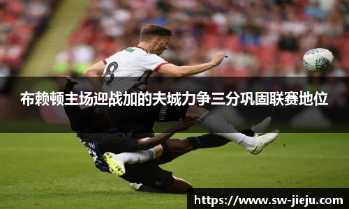 布赖顿主场迎战加的夫城力争三分巩固联赛地位